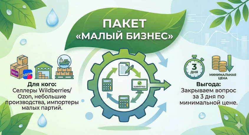 https://ecosbor-expert.ru/wp-content/uploads/2025/11/paket-malyj-biznes.webp